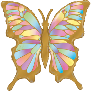 Butterfly Holographic Balloon in a Box