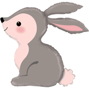 Woodland Bunny Balloon in a Box