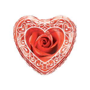Framed Rose Bud Balloon in a Box