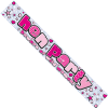 Wild Hen Party Banner additional gift